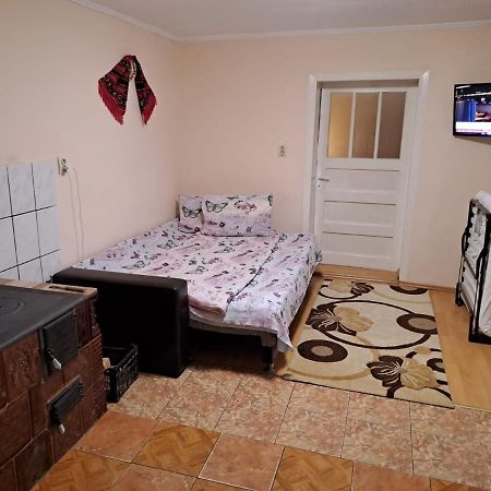 Casa Argentina Villa Cîrţişoara Buitenkant foto