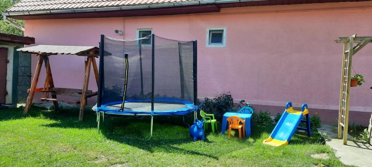 Casa Argentina Villa Cîrţişoara Buitenkant foto