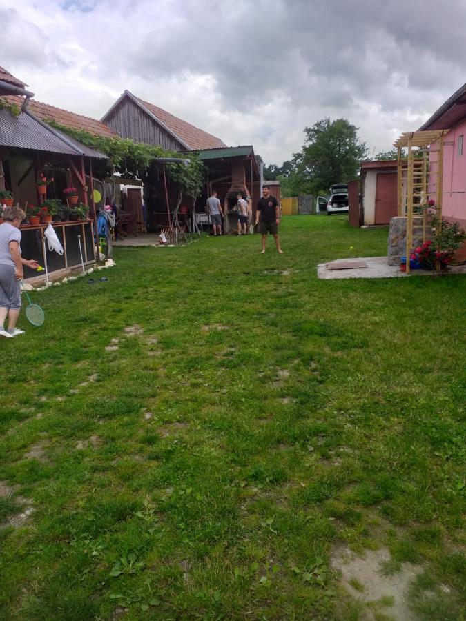 Casa Argentina Villa Cîrţişoara Buitenkant foto