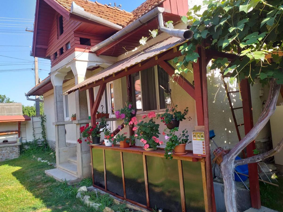 Casa Argentina Villa Cîrţişoara Buitenkant foto