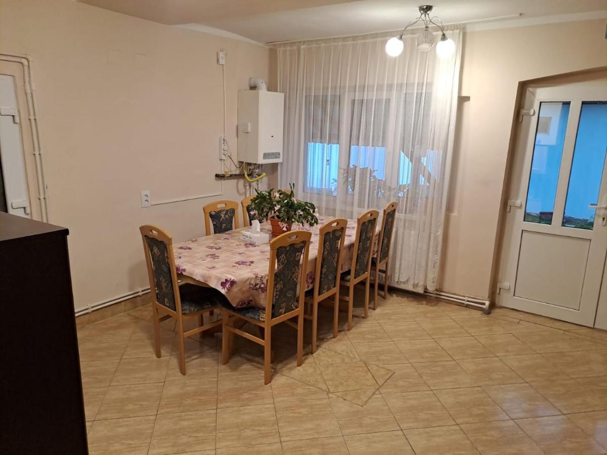 Casa Argentina Villa Cîrţişoara Buitenkant foto
