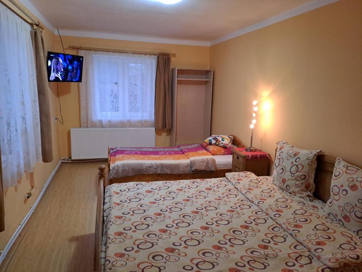 Casa Argentina Villa Cîrţişoara Buitenkant foto