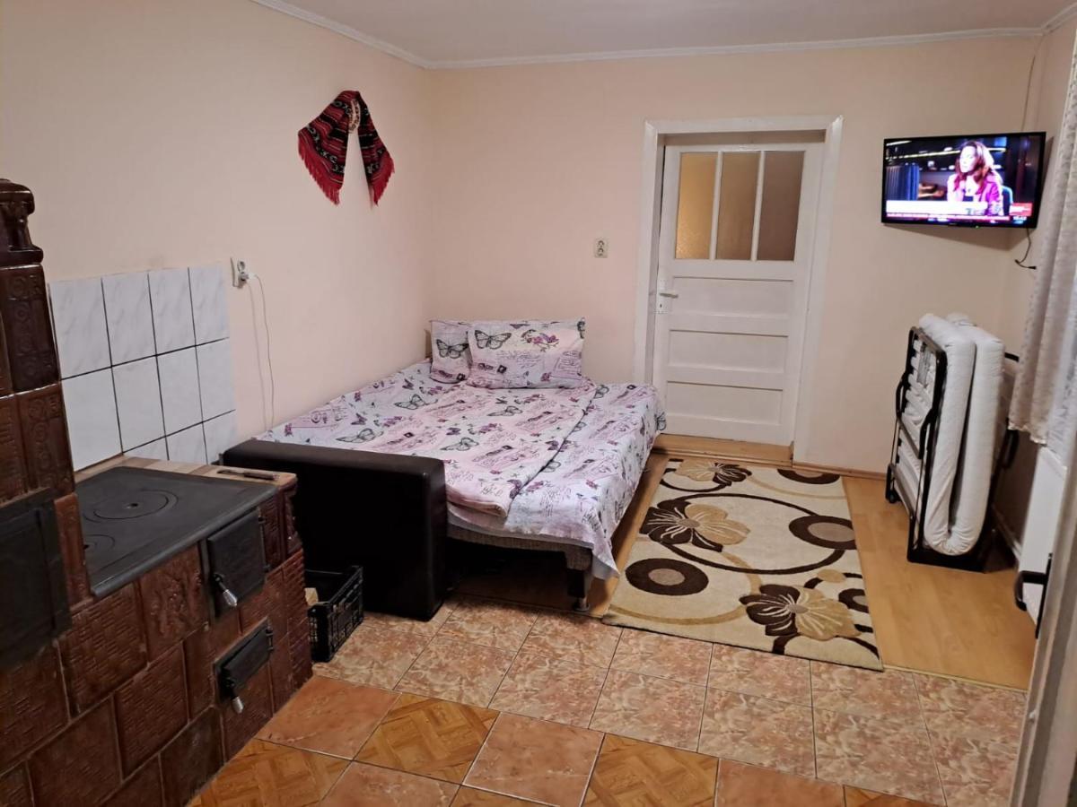 Casa Argentina Villa Cîrţişoara Buitenkant foto