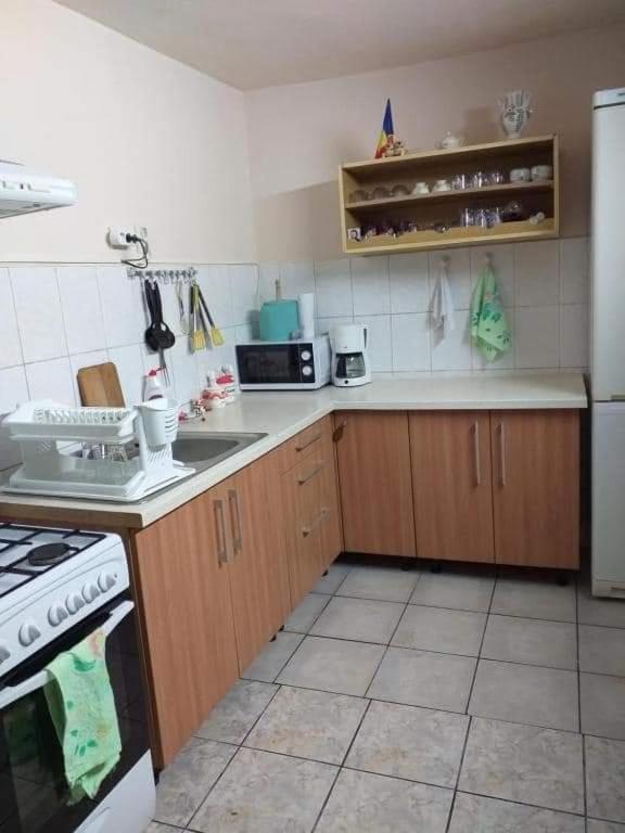 Casa Argentina Villa Cîrţişoara Buitenkant foto