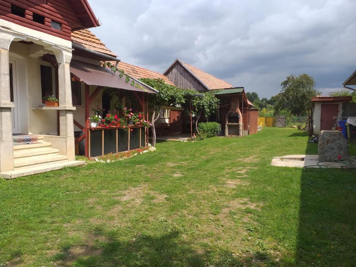 Casa Argentina Villa Cîrţişoara Buitenkant foto